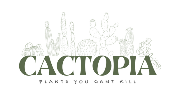 Cactopia